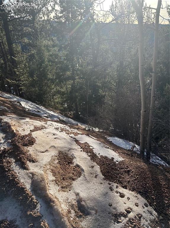 1600 Pikes Peak Drive