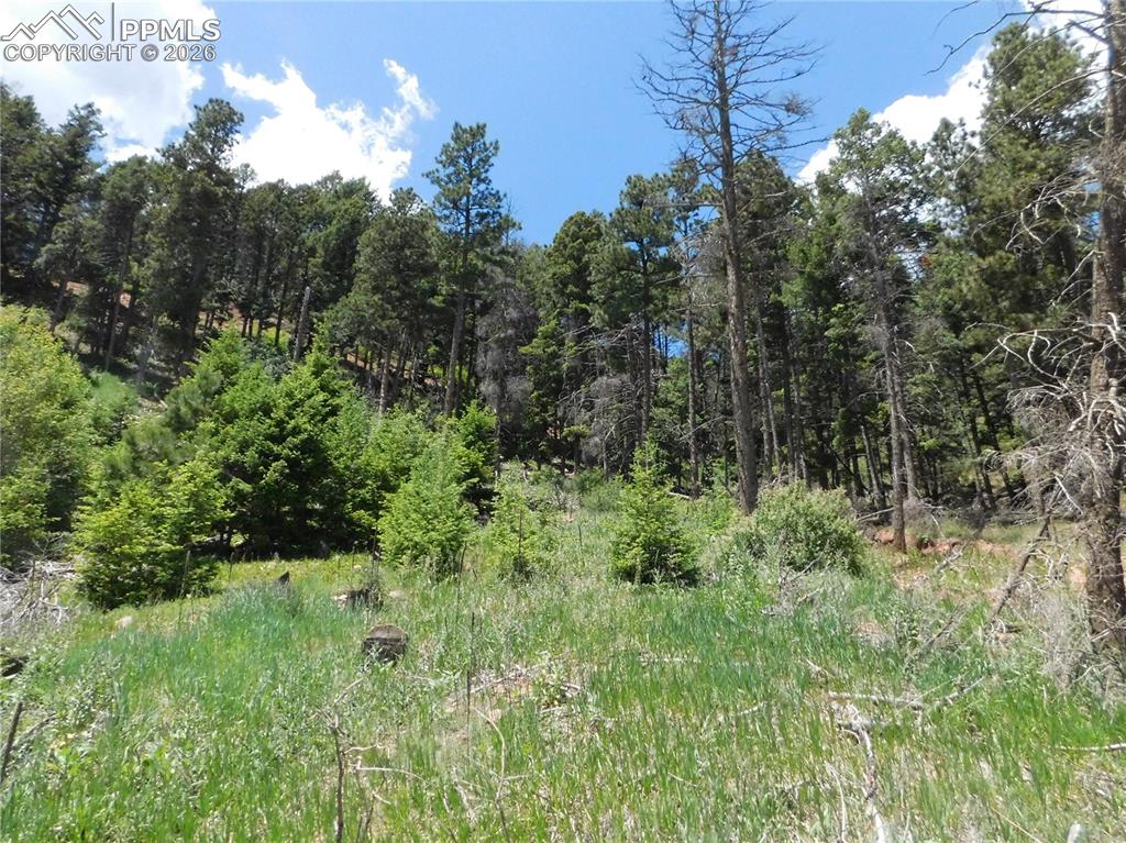Lot 11 Woodmoor West Drive