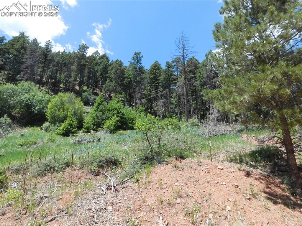 Lot 11 Woodmoor West Drive