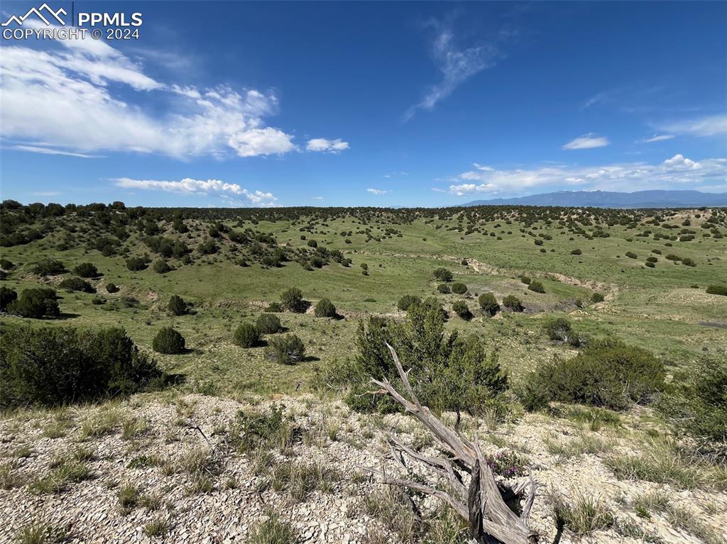 Railroad Springs Road
