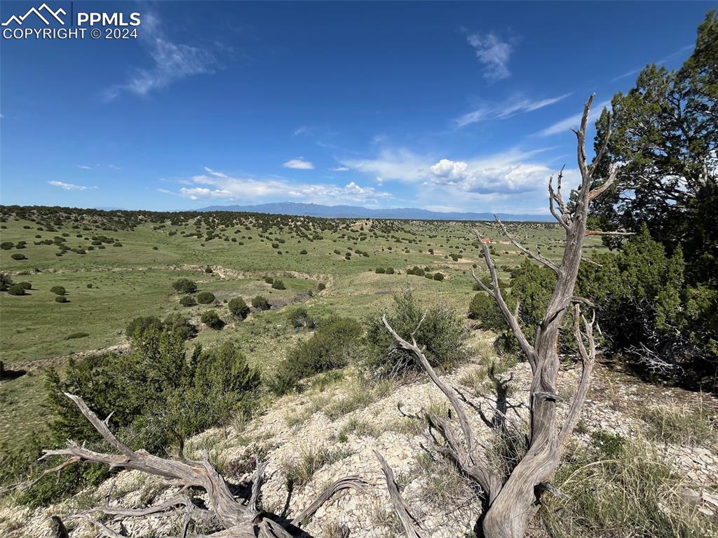 Railroad Springs Road