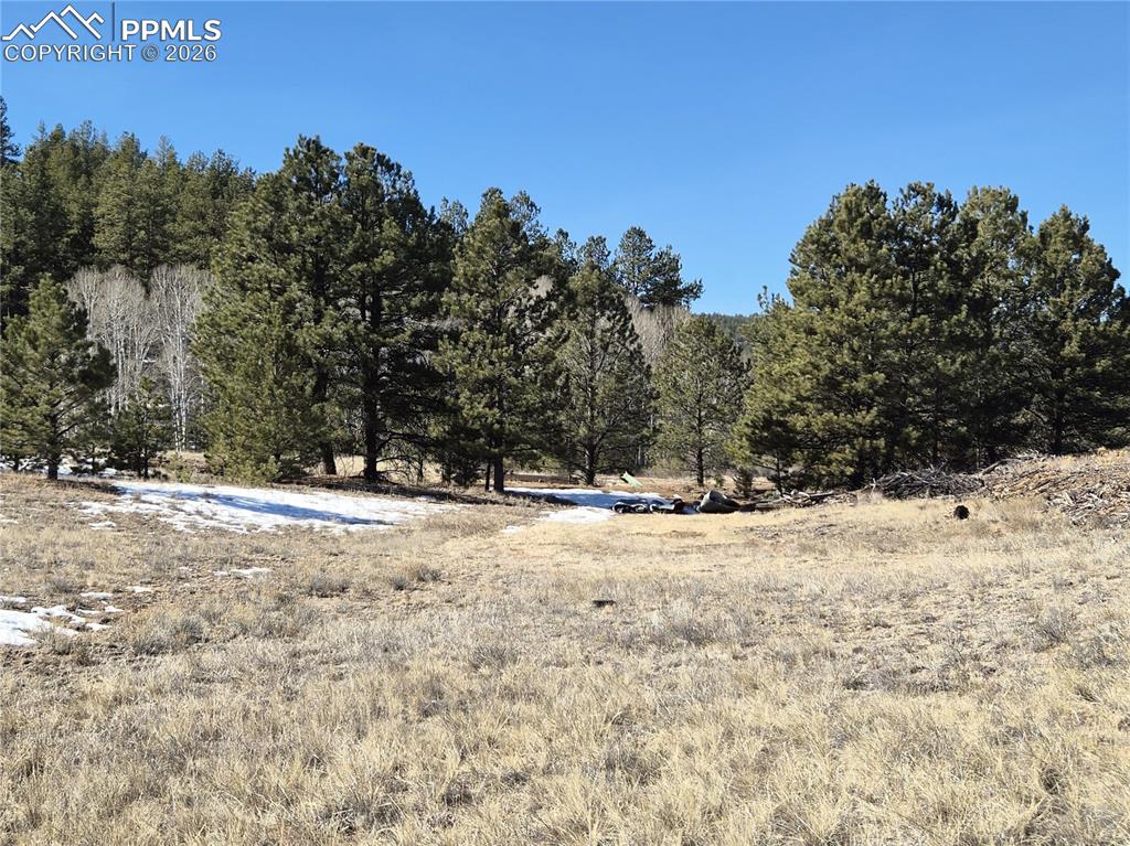 38340 Highway 24