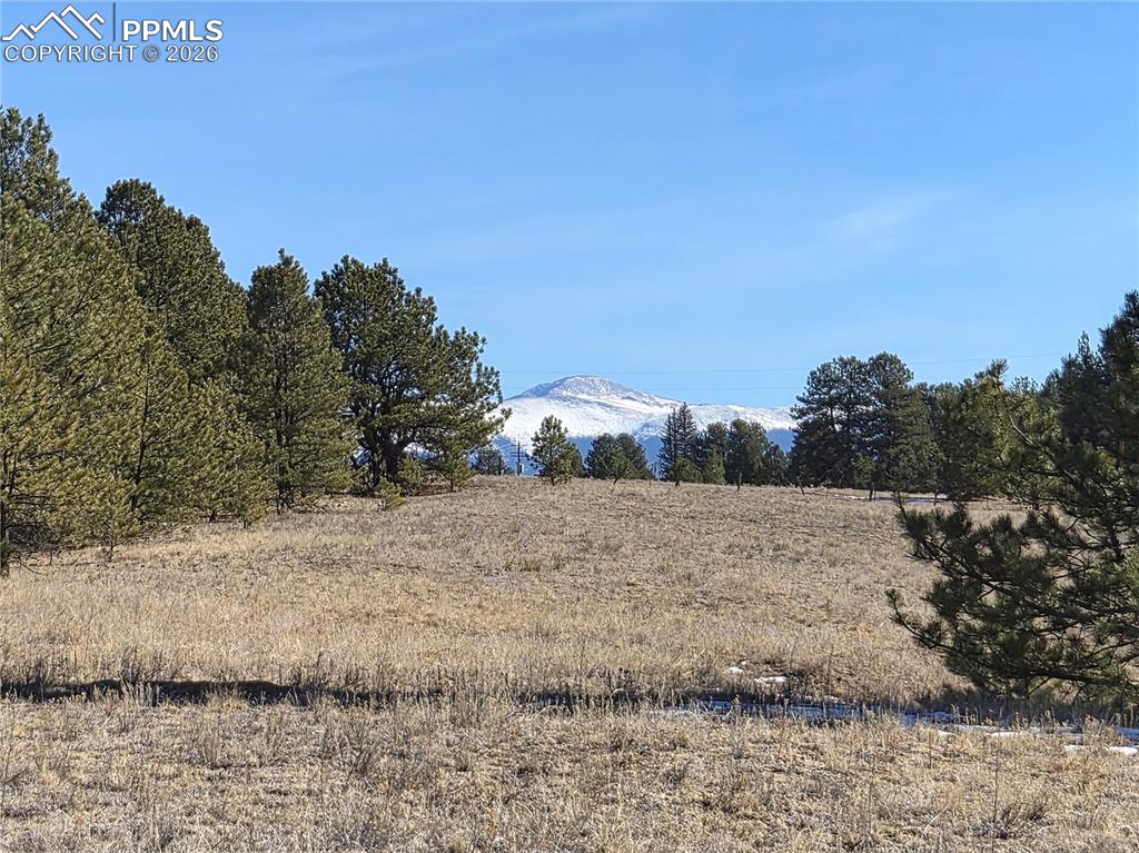 38340 Highway 24
