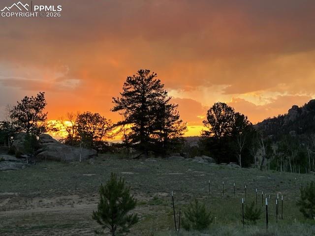 206 Emerald Way