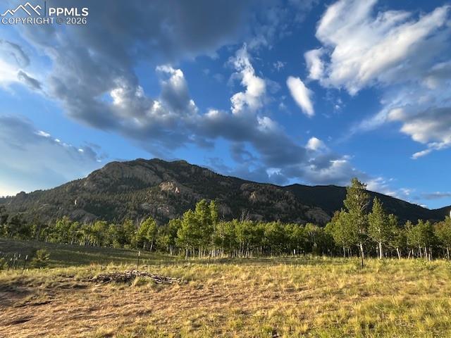 206 Emerald Way