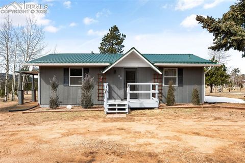 80 Kinnikinnick Drive Woodland Park CO 80863