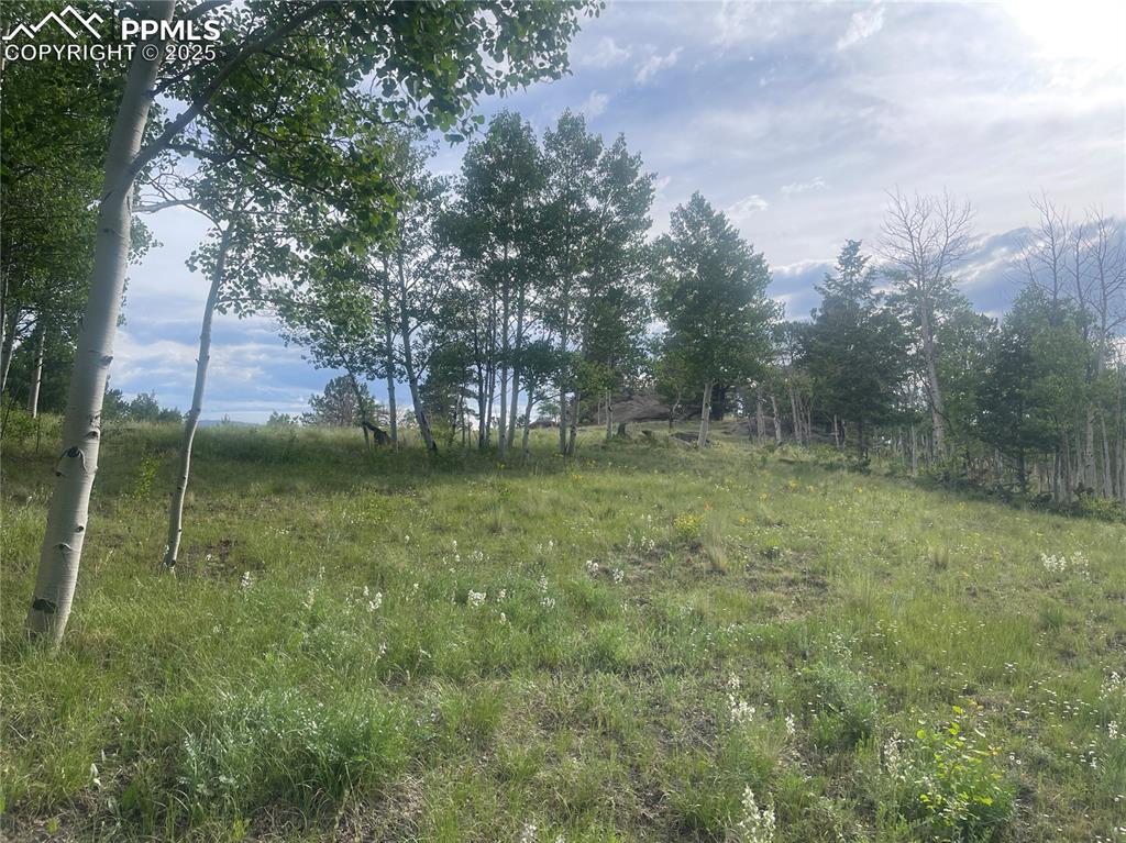 171 Emerald Way