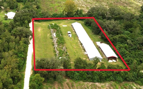 NE SAGE RD, MAYO, FL 32066 - Image 01feab67d5dfae367d3bdebb6be7fbed/251959504