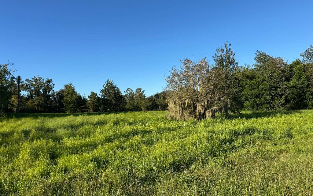 Photo of 11022 NW 38th Drive, Jasper, FL 32052 (MLS # 133609)