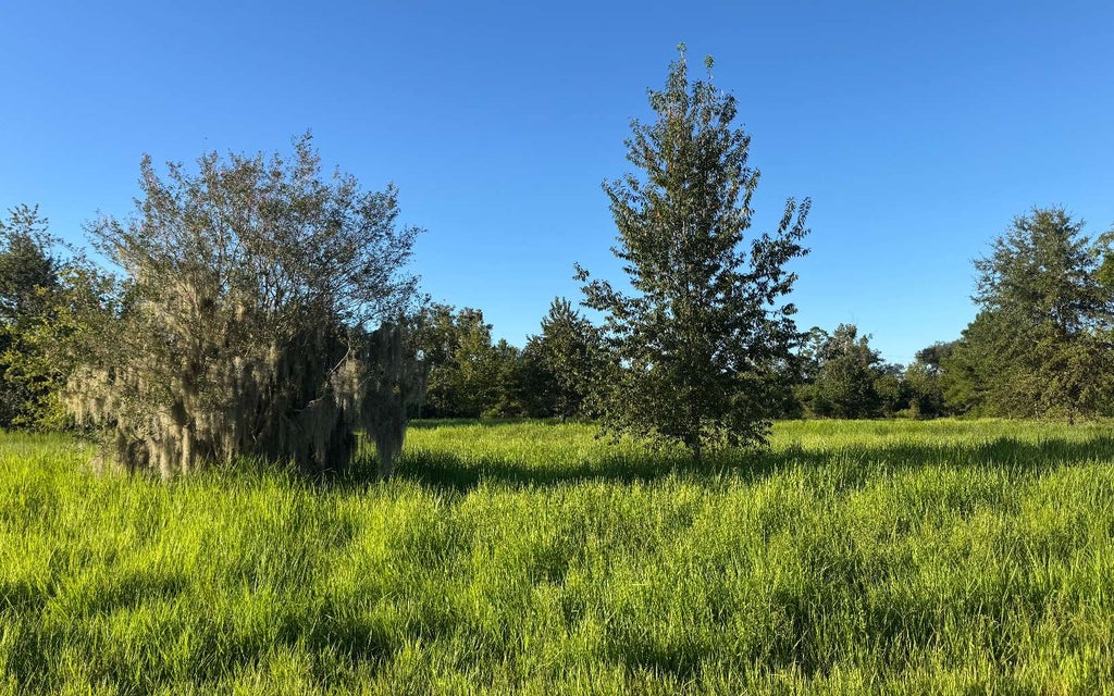 Photo of 11022 NW 38th Drive, Jasper, FL 32052 (MLS # 133609)