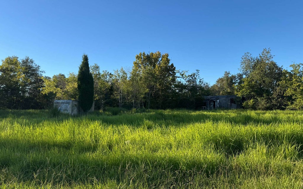 Photo of 11022 NW 38th Drive, Jasper, FL 32052 (MLS # 133609)