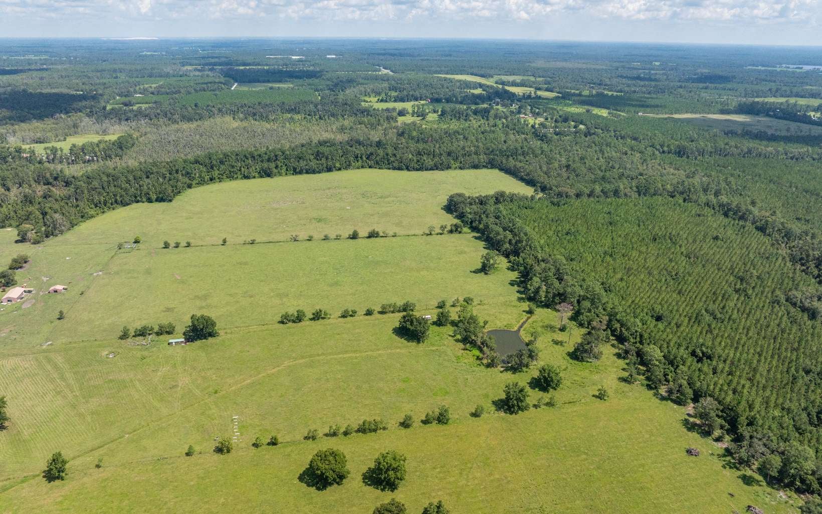 Photo 1 of 31 — TBD HOGAN RD, Wellborn 32094