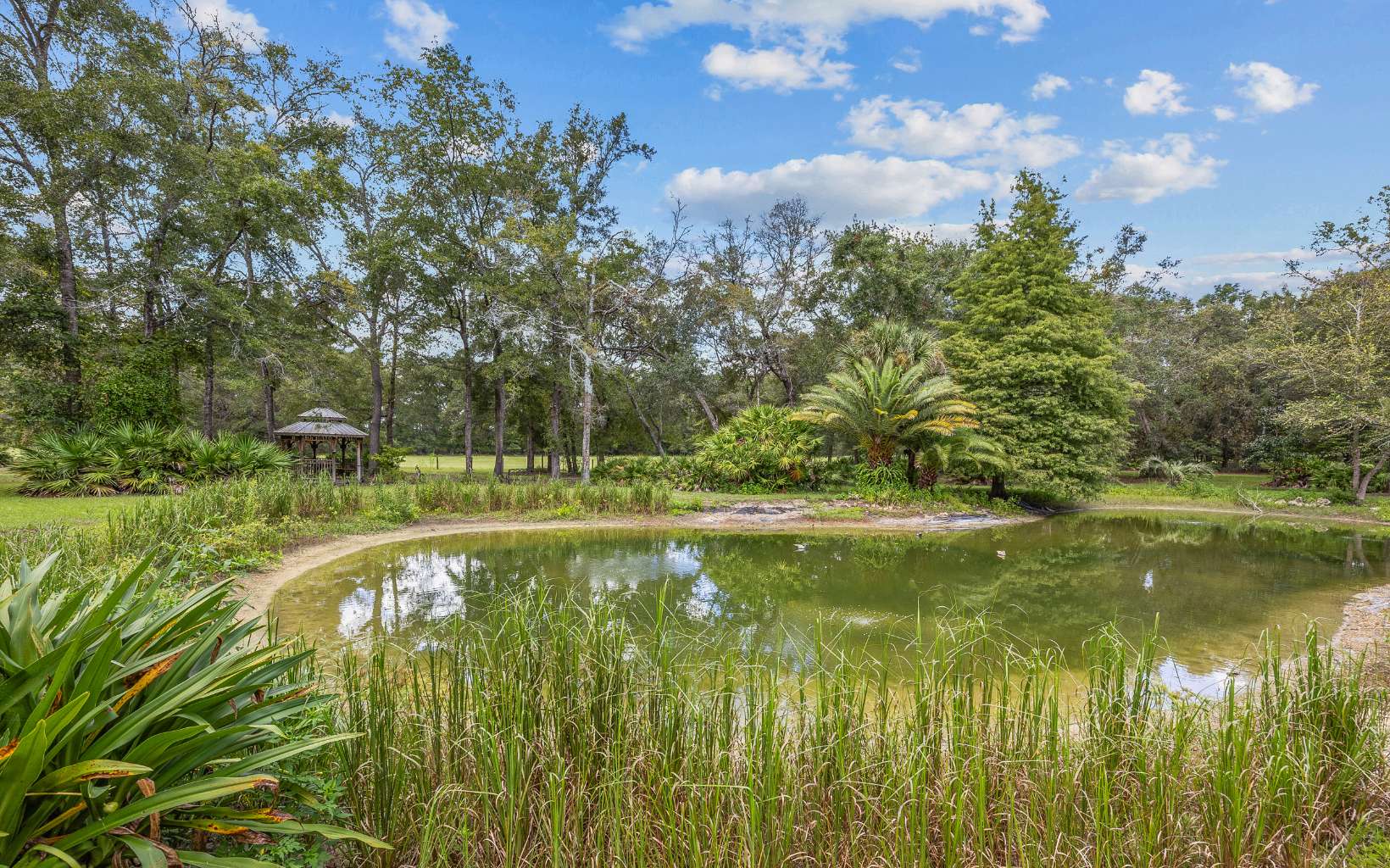 High Springs, Florida, 32643, United States, 5 Bedrooms Bedrooms, ,4 BathroomsBathrooms,Residential,Active,2032882