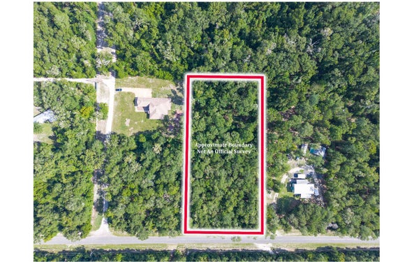 280TH ST, BRANFORD, FL 32008 - Image 13f3fa9fb9a3d89378b4adb45307fc3d/1755928341