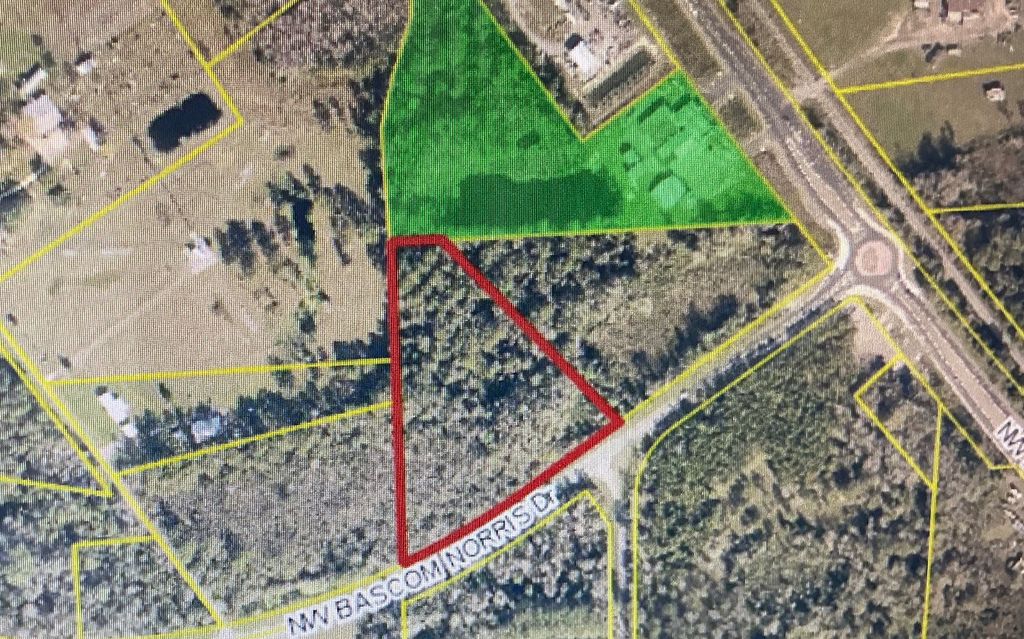 Photo of Bascom Norris Drive, Lake City, FL 32055 (MLS # 129290)