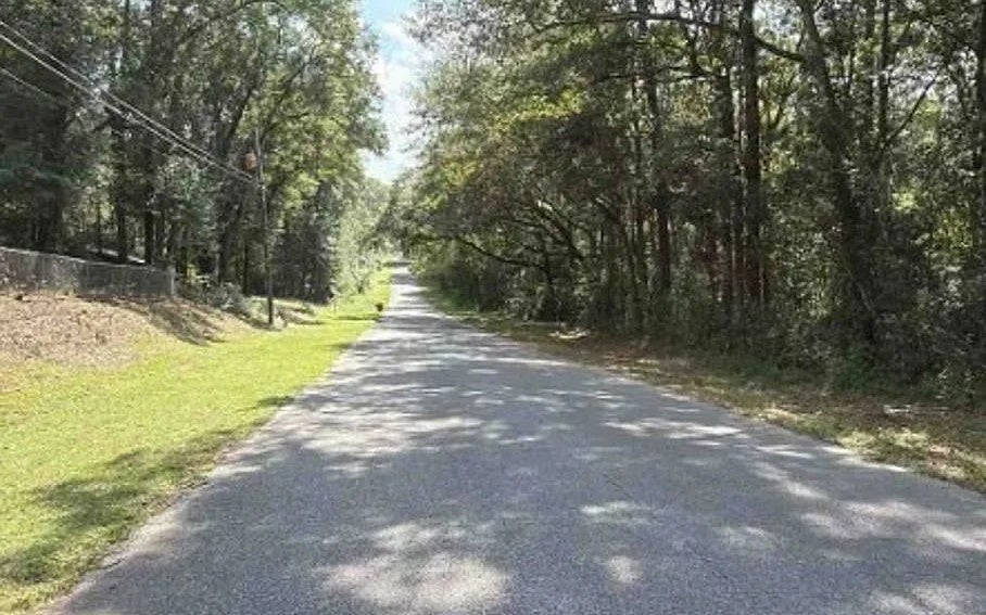 Photo of 420 Deerfoot Lane, Other, FL 32533 (MLS # 133230)