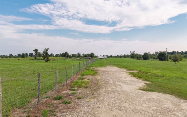 4541 CENTRAL RD, WELLBORN, FL 32094 - Image 1b1d092018d1af29219cfc2ef4c8e75d/3803590382