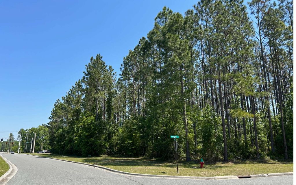 Photo of SW Prosperity Place Mb1, Lake City, FL 32055 (MLS # 70125)