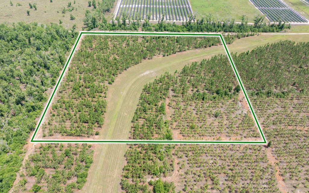 Photo of TBD 199th Pl, Live Oak, FL 32060 (MLS # 131750)