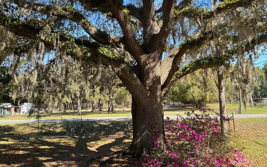 Photo of 106 SW Mollie Terrace, Lake City, FL 32024 (MLS # 130677)