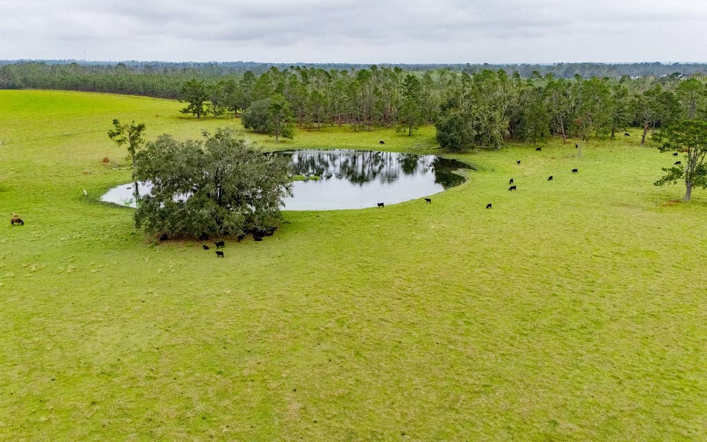 Photo of 3928 NW 69th Blvd, Jennings, FL 32053 (MLS # 132193)