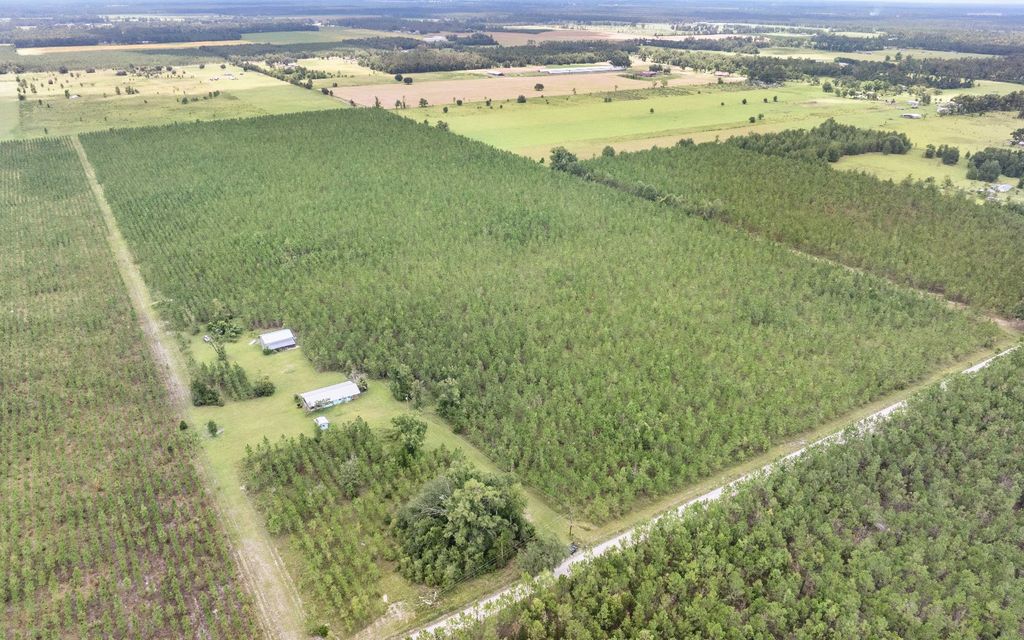 Photo of 21926 128th St, Live Oak, FL 32060 (MLS # 126797)