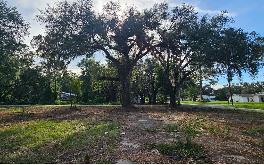 Photo of 126 SW Laurel Street, Mayo, FL 32066 (MLS # 132701)