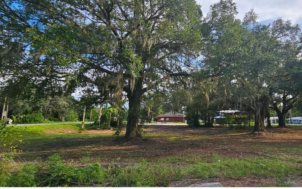 Photo of 126 SW Laurel Street, Mayo, FL 32066 (MLS # 132701)