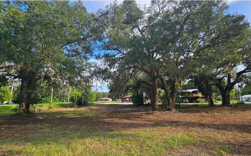 Photo of 126 SW Laurel Street, Mayo, FL 32066 (MLS # 132701)