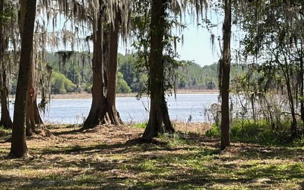 Photo of 1477 SE Inglewood Avenue, Lake City, FL 32025 (MLS # 130435)