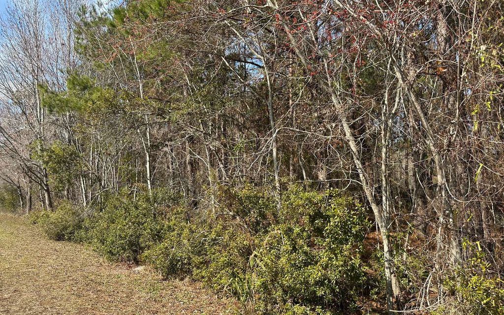 Photo of TBD SW Commerce Dr, Lake City, FL 32025 (MLS # 128752)