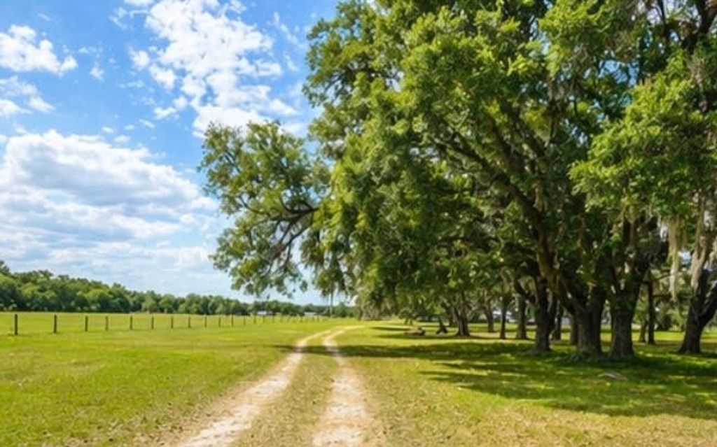 Photo of 14853 117th Rd, McAlpin, FL 32062 (MLS # 130390)