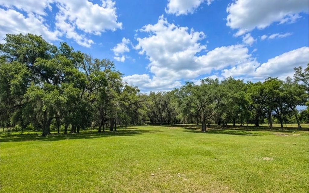 Photo of 14853 117th Rd, McAlpin, FL 32062 (MLS # 130390)
