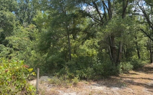 Photo 1 of 21 — TBD 208TH STREET, OBrien 32071