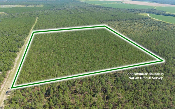 SE SCHOONER WAY, LEE, FL 32059 - Image 329053bf6f193bb2b8f4961afdab6746/126633074