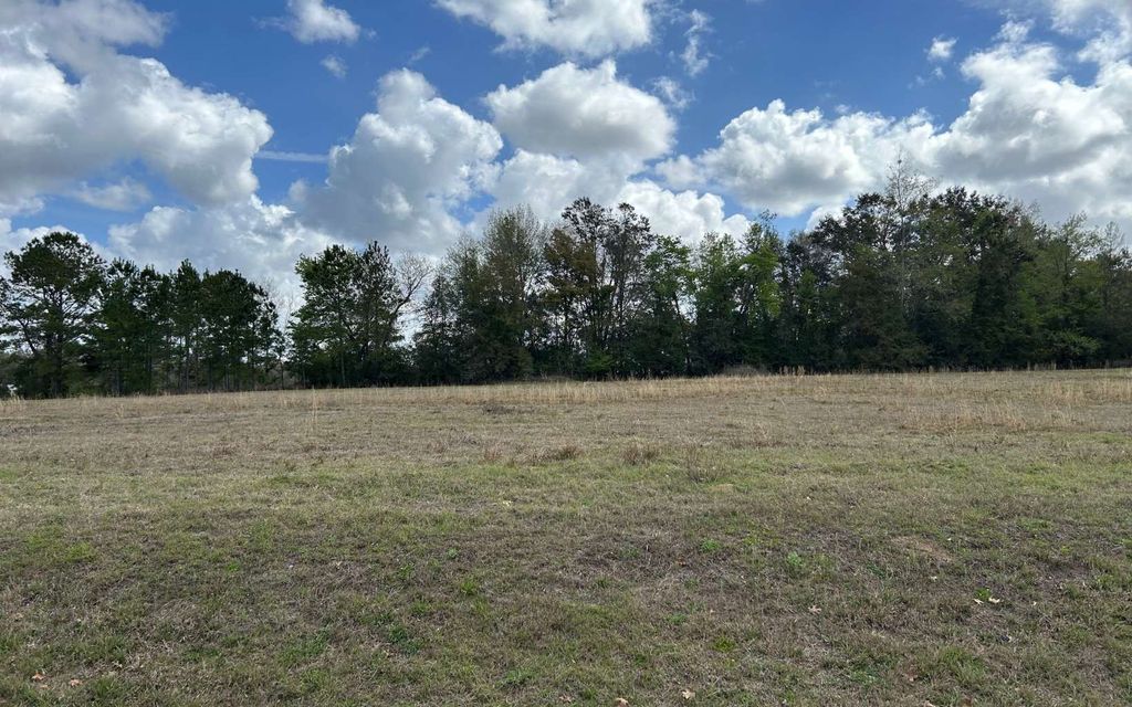 Photo of NW 104th Terrace (#3), Alachua, FL 32615 (MLS # 126294)