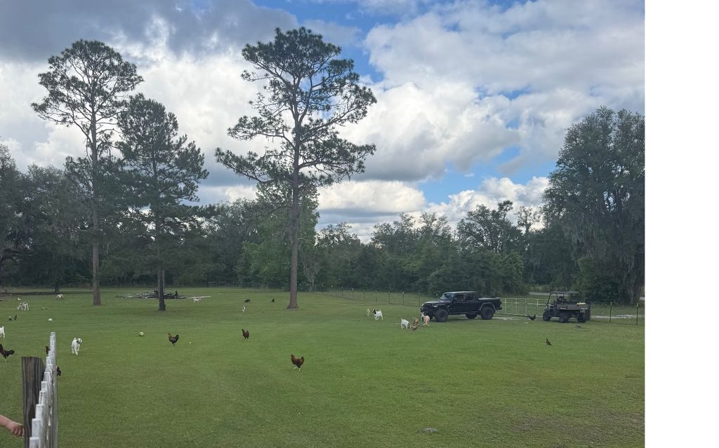 Photo of 10917 S 142nd St, McAlpin, FL 32062 (MLS # 131575)