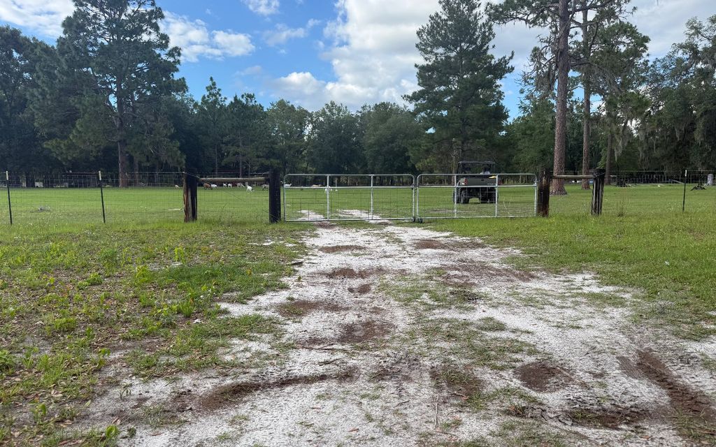 Photo of 10917 S 142nd St, McAlpin, FL 32062 (MLS # 131575)