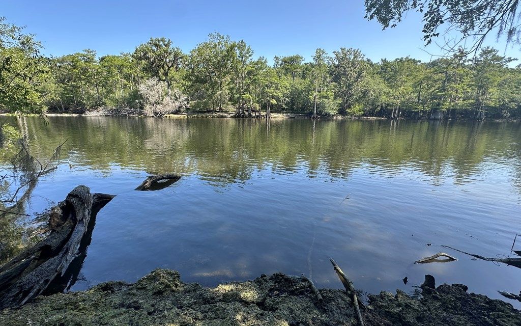 Photo of 2410 NW 117th Pl, Branford, FL 32008 (MLS # 130751)