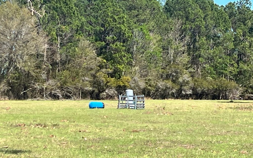 Photo of 14182 SW 161st St, Brooker, FL 32622 (MLS # 130730)