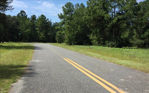 MOSSY OAK WAY, LAKE CITY, FL 32055 - Image 3e2f9a8b87df9cd2e67595c35d84f484/3610597654