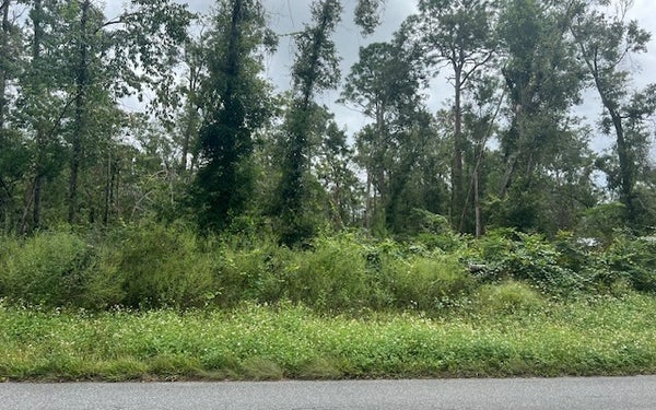 183RD RD, LIVE OAK, FL 32060 - Image 404d50cfc30efe0b4f4e1668a63daa05/1886773619