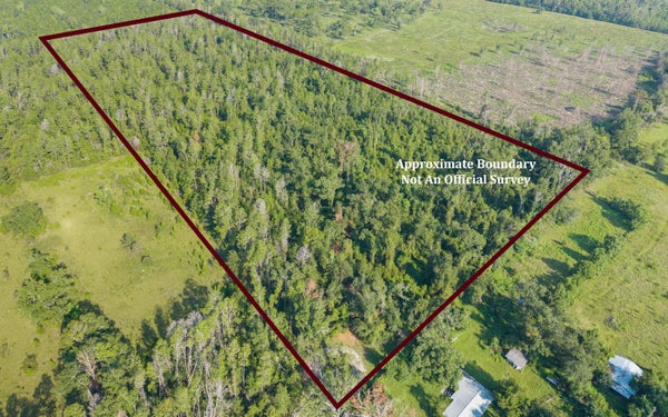 SW 57TH TRL, JASPER, FL 32052 - Image 44a71bd7e2e3f0ca39dbb7d03eeef5c4/835626244