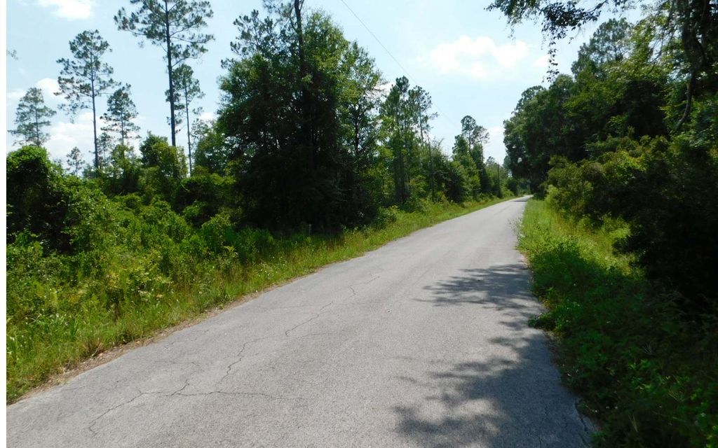 Photo of N US-441/I-10, Lake City, FL 32055 (MLS # 130827)