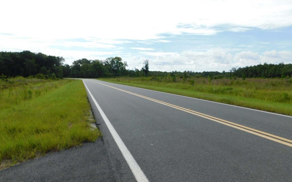 Photo of NW Bell Street, Lake City, FL 32055 (MLS # 116519)