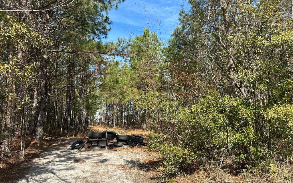 Photo of TBD SW Commerce Dr, Lake City, FL 32025 (MLS # 126020)
