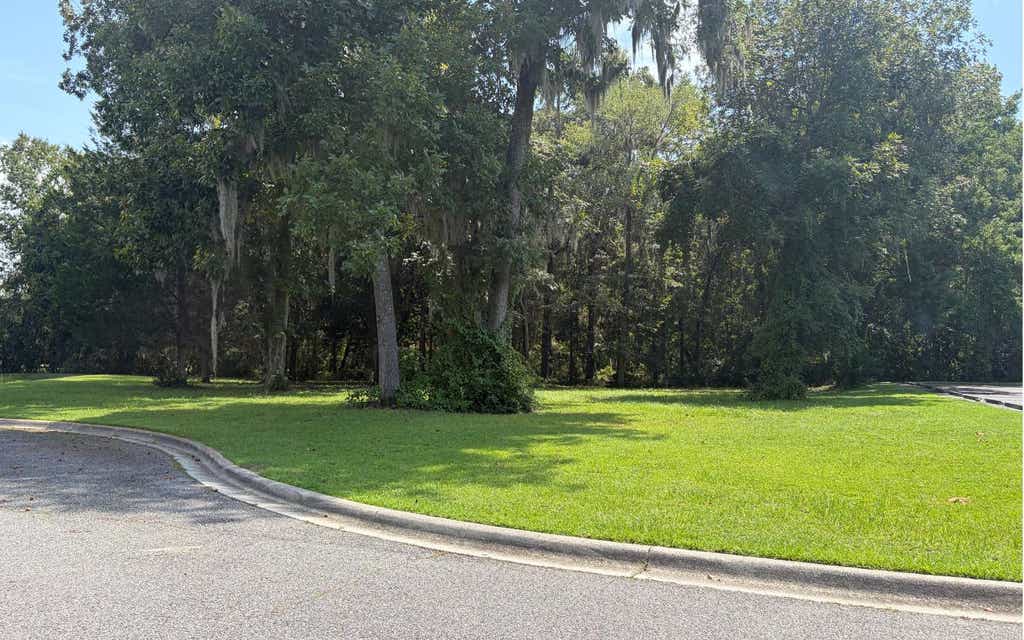 Photo of TBD SW Newland Way, Lake City, FL 32025 (MLS # 132779)