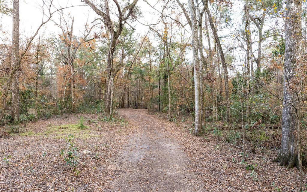 Photo of 932 SW Bluff Dr, Fort White, FL 32038 (MLS # 125695)