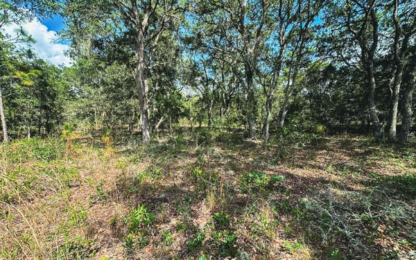 SOUTH RD, WEST PALM BEACH, FL 33414 - Image 59c8da95ef5a8c3d95a5a3a2e6c0cc35/195177149