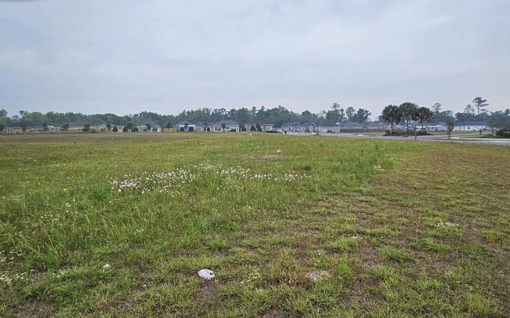 Photo of TBD Vista Dr, Live Oak, FL 32064 (MLS # 130805)